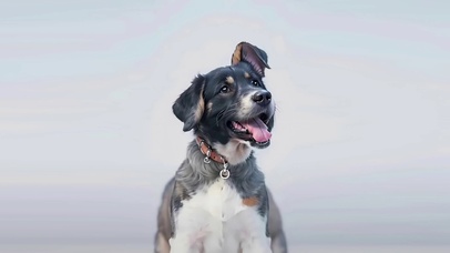 幻术图 远看眯眼