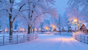 雪铺的路，暖灯边的雪房子
