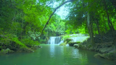 护眼清新绿林流水