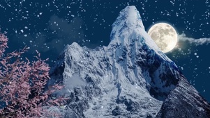 雪山樱花