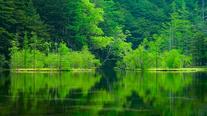 清新护眼绿水湖
