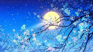 夜景月圆之夜