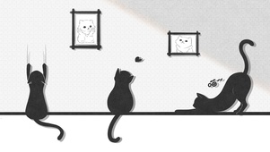 【动态壁纸】猫猫们