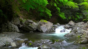 山涧小溪