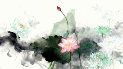 水墨画荷叶