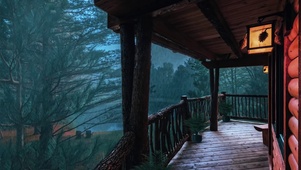 暴雨森林小屋
