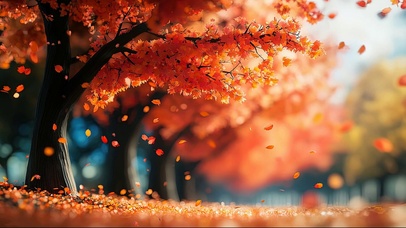 秋日微观红叶森林草地