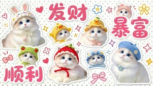 可爱萌猫 发财暴富顺利