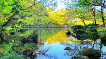 宁静治愈山间小溪 4K