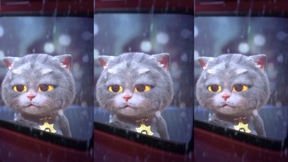 斑布猫-打开心窗