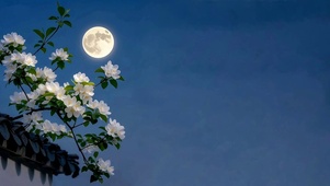 月照白芳枝
