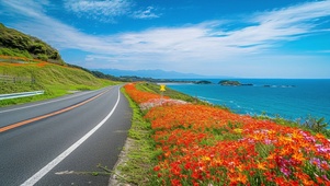 治愈公路