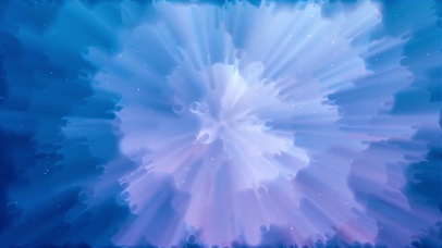 梦幻花