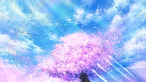 阳光下樱花树