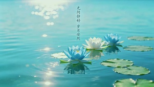 光阴静好，岁月安然