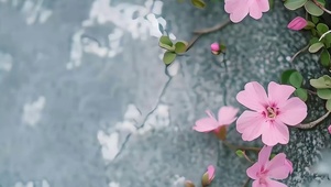 护眼花朵带鱼屏