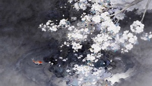 梨花树下小鱼