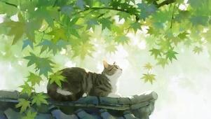 绿荫下屋檐猫咪