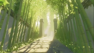 绿色夏日幽静竹林小道