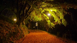 雨夜路灯下