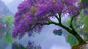 治愈风景壁纸