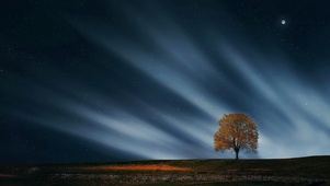 梦幻夜晚