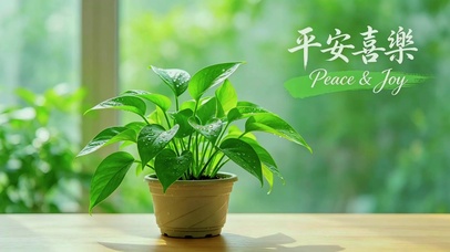 清新绿萝