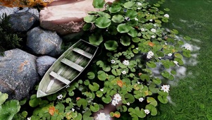 小船荷花