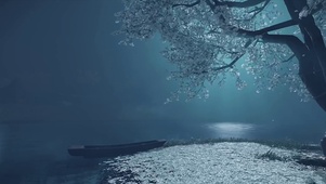 唯美樱花夜景