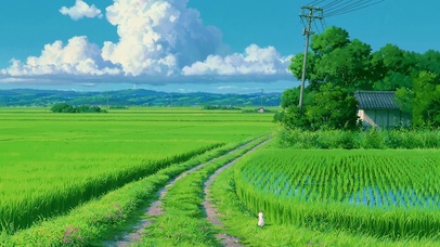 绿色的田野