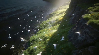 治愈风景