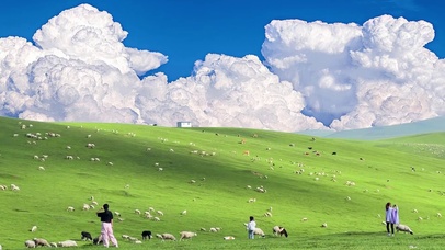 草原羊群~