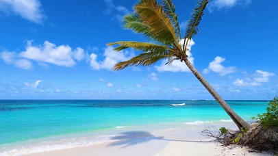 椰树海滩蓝天海浪