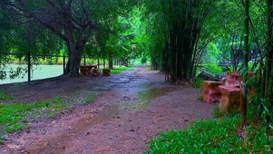 治愈雨天乡村小路