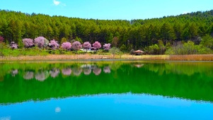 高山夏日湖