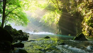 护眼阳光清凉溪流
