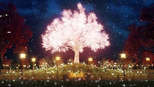 樱花树下