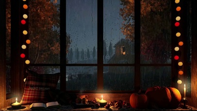 秋天的雨夜窗户