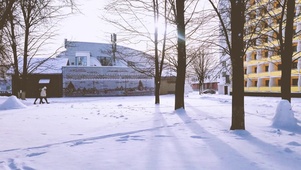 冬季阳光空中漂泊着雪花