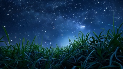 夜晚下的星空流星绿草星辰