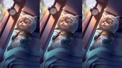 斑布猫-心如刀割