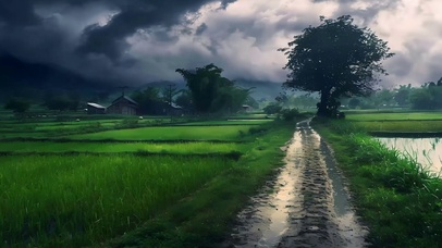 雨天暴雨