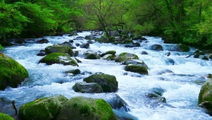 湍急溪流