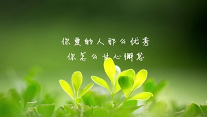 绿色清新文字