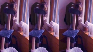 小花和六一