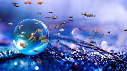 梦幻水晶球水族箱