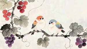 葡萄树 上两只小鸟