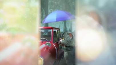 斑布猫-你的笑容