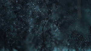 雨滴