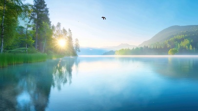湖面树木护眼绿景